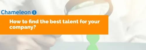 How to find the best talent for your company?