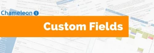Custom Fields: what they are + how to use them